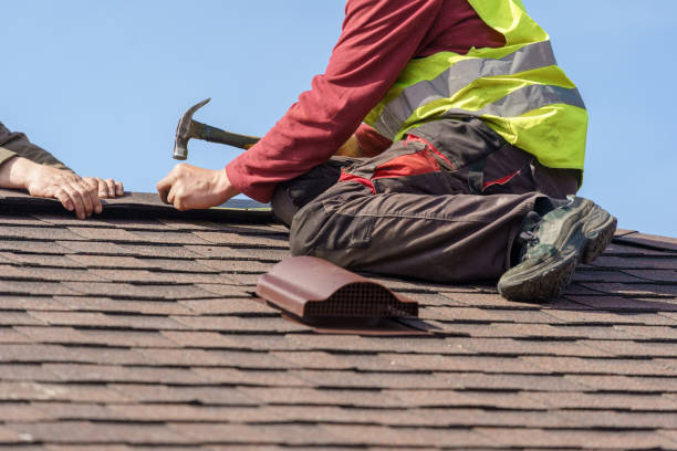 Best Metal Roofing Contractor  in Carbondale, IL