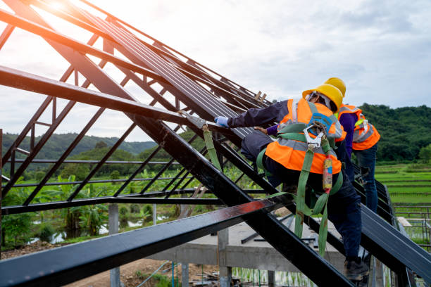 Best Roof Gutter Cleaning  in Carbondale, IL