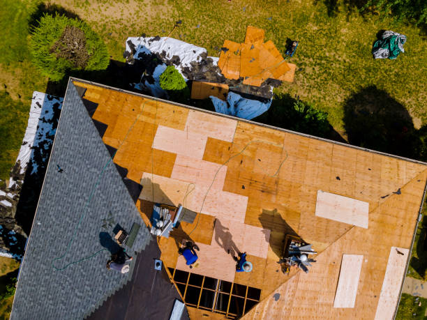 Best Flat Roof Repair Services  in Carbondale, IL