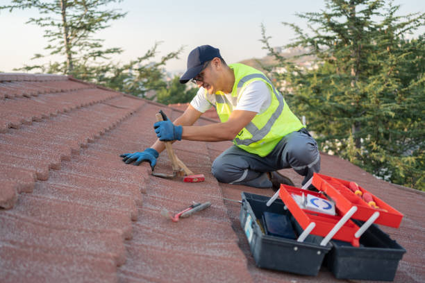 Best Emergency Roof Repair  in Carbondale, IL