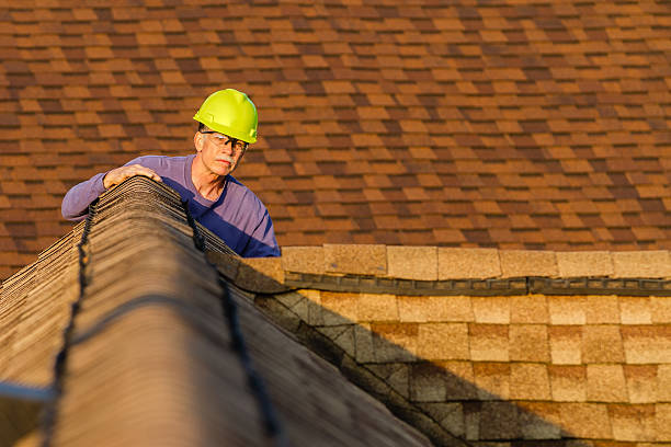 Best Roof Gutter Cleaning  in Carbondale, IL