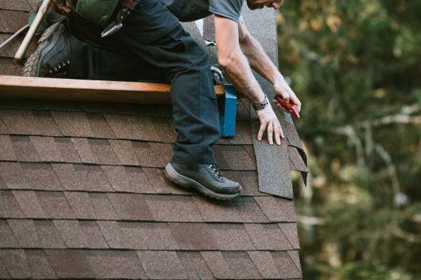 Best Commercial Roofing Services  in Carbondale, IL